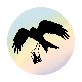 Precision Wedding Photography & Videography Company Logo. The oval-shaped design contains the silhouette of a flying Red Kite bird of prey holding a large camera in its talons on a multicoloured background.