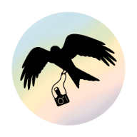 Precision Wedding Photography & Videography Company Logo. The oval-shaped design contains the silhouette of a flying Red Kite bird of prey holding a large camera in its talons on a multicoloured background.